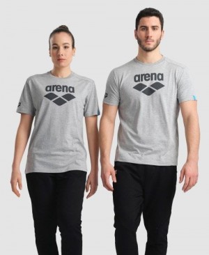 Grey Arena Logo Cotton T-shirt | EADQHGR-21