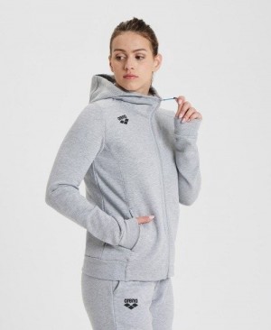 Grey Arena Team Hooded Jacket Panel | KJUHQVA-37