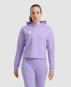 Multicolor Arena Hooded Fleece Sweatshirt | SZTQLFW-24