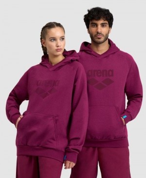 Multicolor Arena Logo Hooded Sweatshirt | FHQIYNE-08