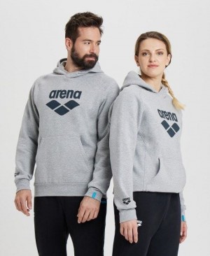 Multicolor Arena Logo Hooded Sweatshirt | APEMIZQ-01