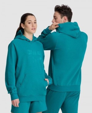 Multicolor Arena Logo Hooded Sweatshirt | GPLCINO-41