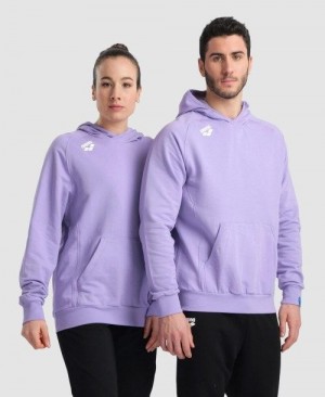 Multicolor Arena Team Hooded Sweatshirt Panel | UZODCXA-80