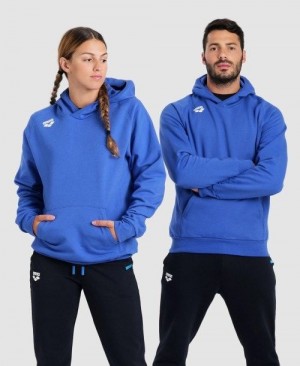 Royal Arena Team Hooded Sweatshirt Panel | VUJFEMK-31