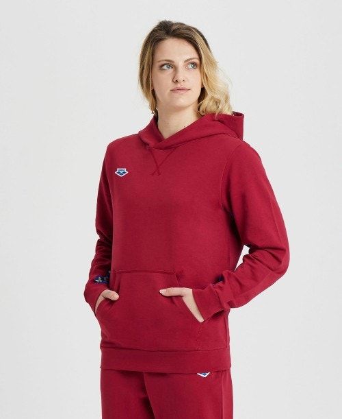 Burgundy / Blue Arena Icons Solid Hooded Sweatshirt | ZHWOCAX-68