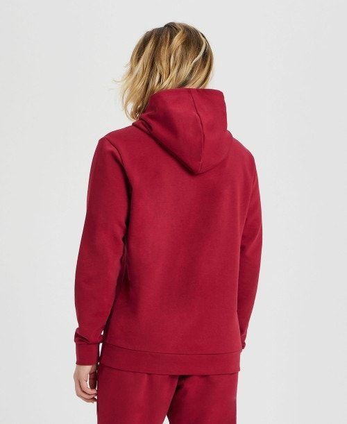 Burgundy / Blue Arena Icons Solid Hooded Sweatshirt | ZHWOCAX-68