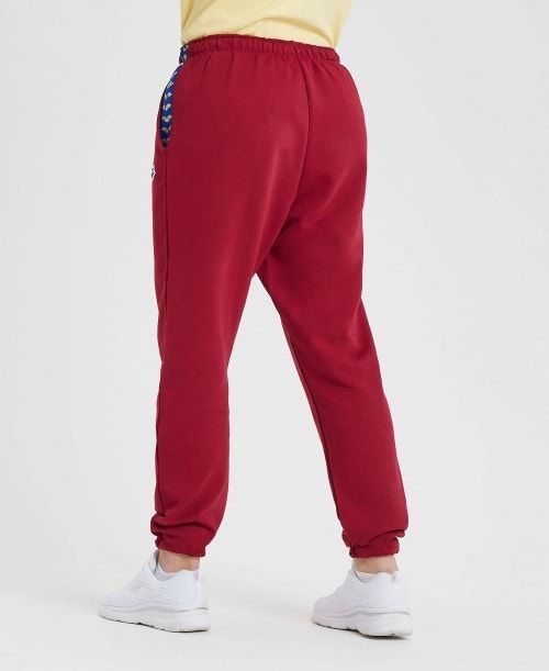 Burgundy / Blue Arena Icons Solid Pant | YEJZADK-96