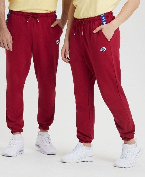 Burgundy / Blue Arena Icons Solid Pant | YEJZADK-96