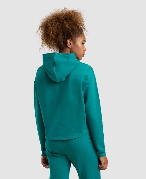 Green Arena Hooded Fleece Sweatshirt | QJWPSUD-39