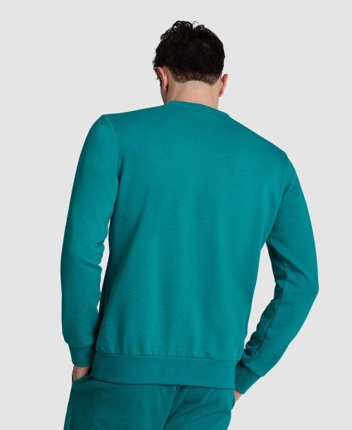 Green Arena Logo Crewneck | RQSNUKO-69