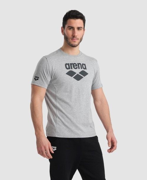 Grey Arena Logo Cotton T-shirt | EADQHGR-21