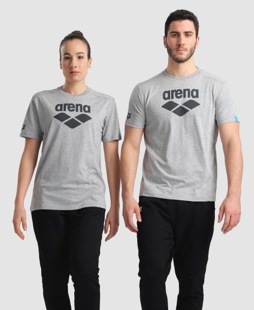 Grey Arena Logo Cotton T-shirt | EADQHGR-21