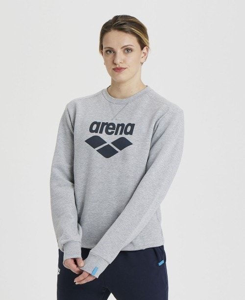 Grey Arena Logo Crewneck | QCETHVG-54