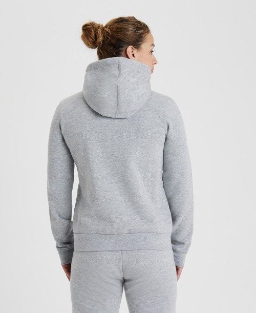 Grey Arena Team Hooded Jacket Panel | KJUHQVA-37