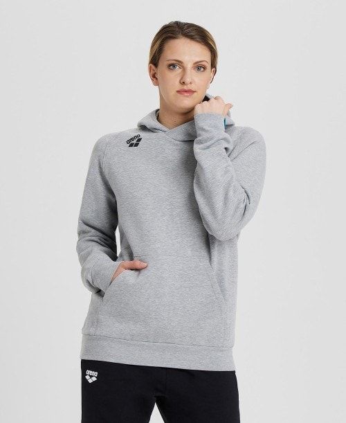 Grey Arena Team Hooded Sweatshirt Panel | SEZYMJB-02