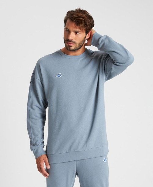 Grey / Grey Arena Oversized Team Sweatshirt | YZXMOWL-48