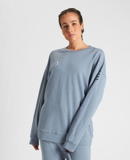 Grey / Grey Arena Oversized Team Sweatshirt | YZXMOWL-48