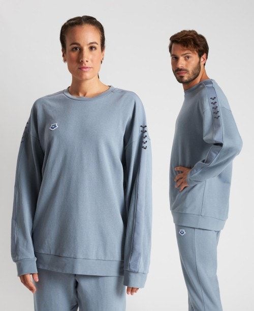 Grey / Grey Arena Oversized Team Sweatshirt | YZXMOWL-48