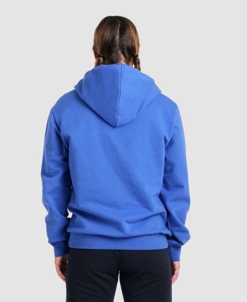 Royal Arena Team Hooded Jacket Panel | OFPTKZC-20