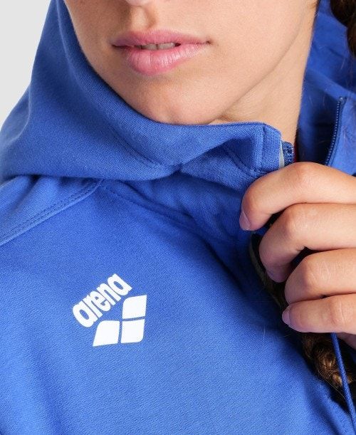 Royal Arena Team Hooded Jacket Panel | UFXSQDI-16